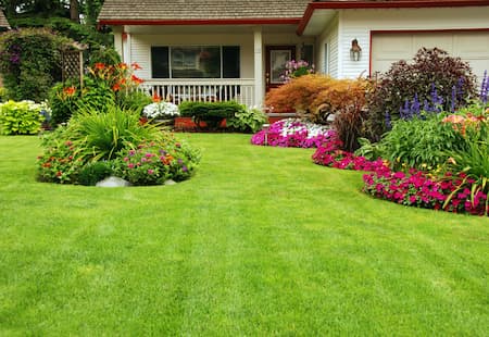 Common Mistakes Homeowners Make Caring For Their Lawn